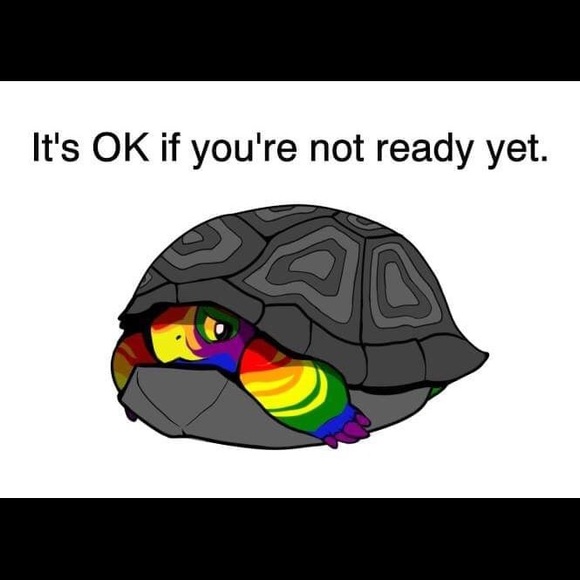 Meet your Posher, Susan - Picture 4 of 6